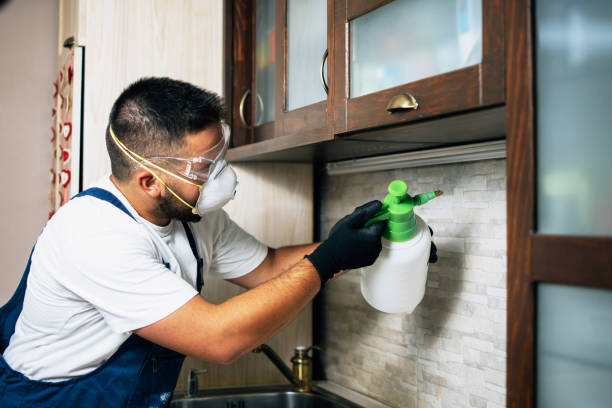 Best Insect Control  in Hayward, CA