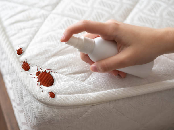Hayward, CA Pest Control Company
