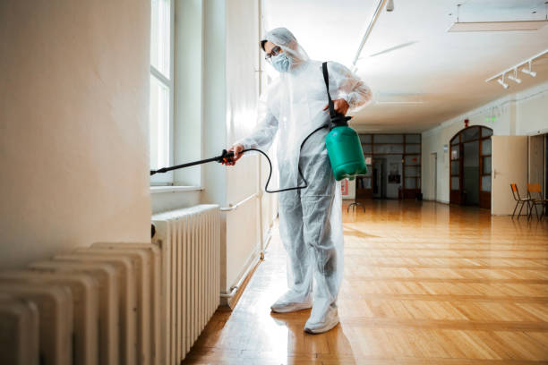 Best Termite Control Services  in Hayward, CA