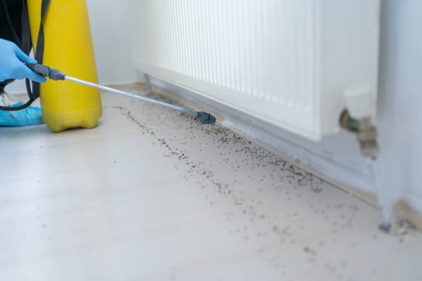 Best Commercial Pest Control Services  in Hayward, CA