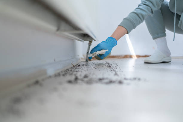 Best Pest Control Near Me  in Hayward, CA